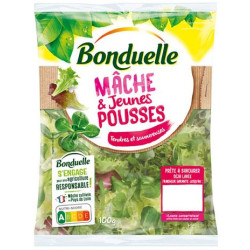 MACHE ET JEUNE POUSSE BONDUELLE 6X100G